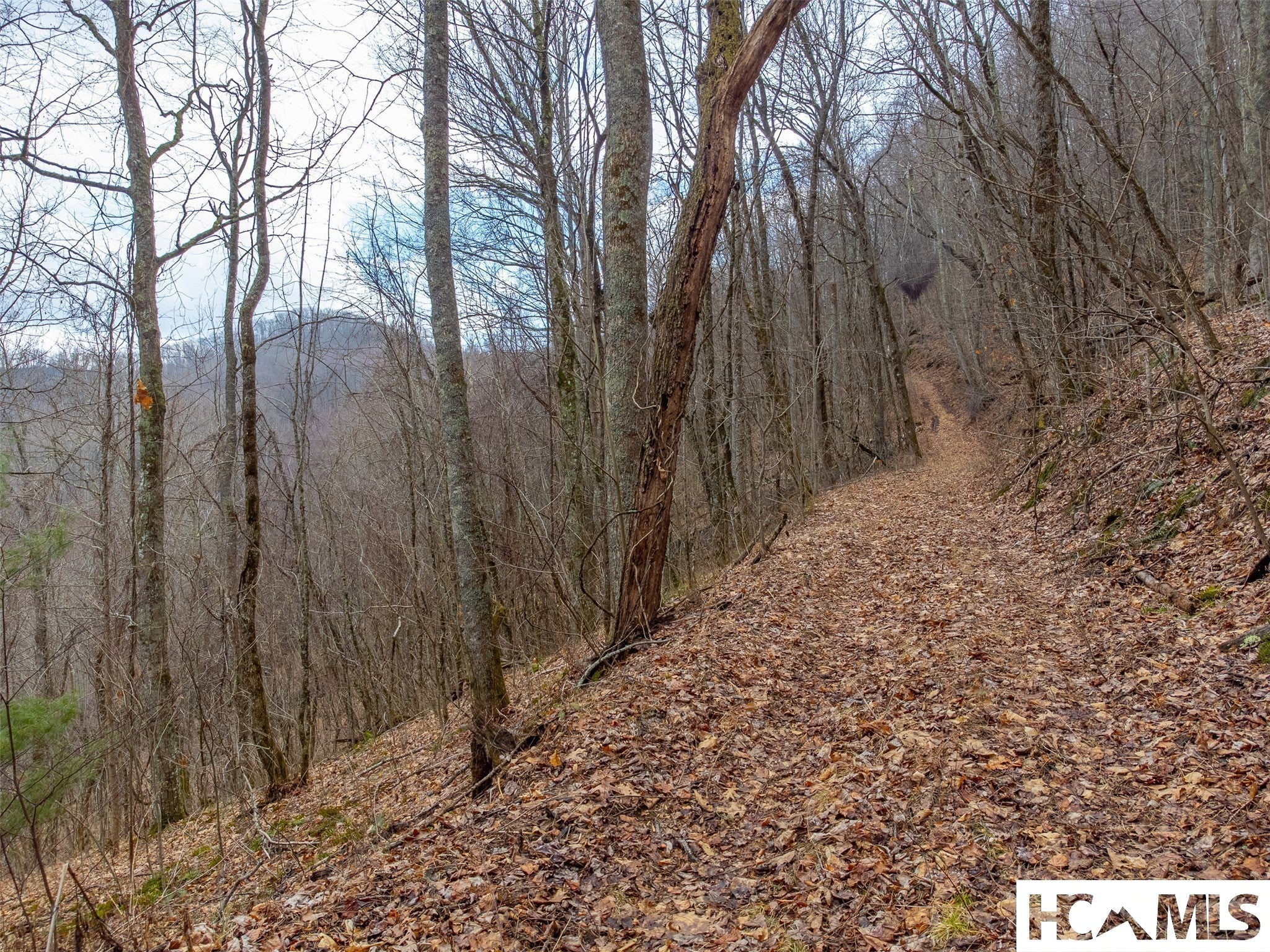 1241 Henry Road Franklin, NC 28734 - Photo 66 of 67 Gallery Image 66