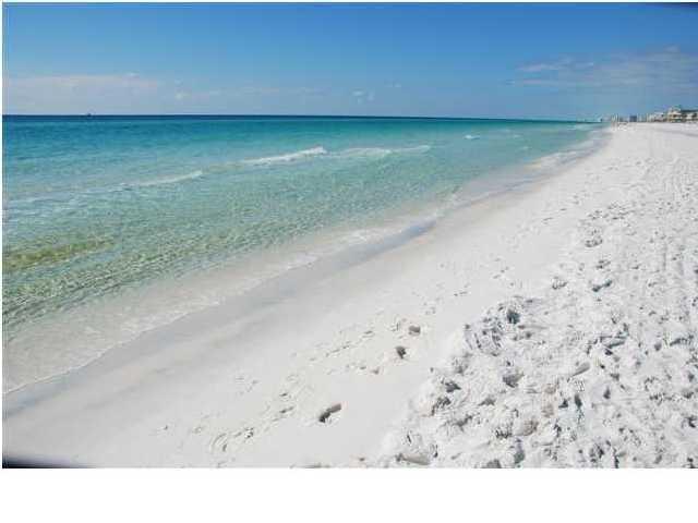 241 Ellis Road, Unit 4 Miramar Beach, FL 32550 - Photo 28 of 30 a view of a dry yard