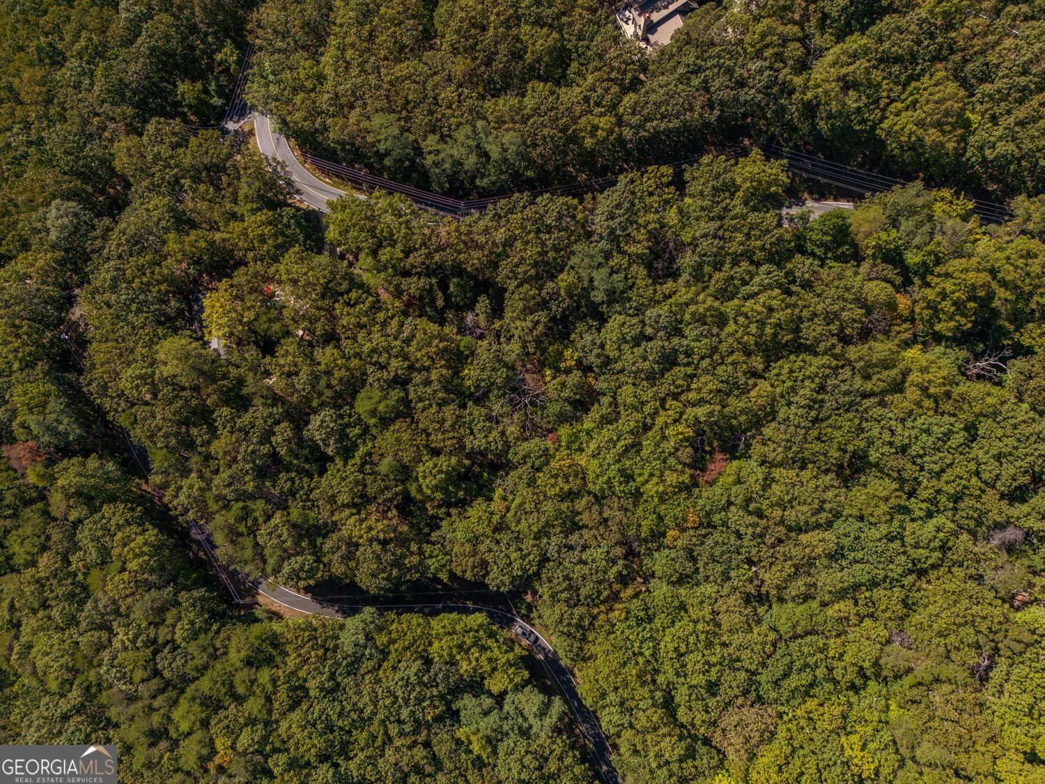 0 Little Hendricks Mountain Road Jasper, GA 30143 - Photo 8 of 17 a view of outdoor space and covered with trees