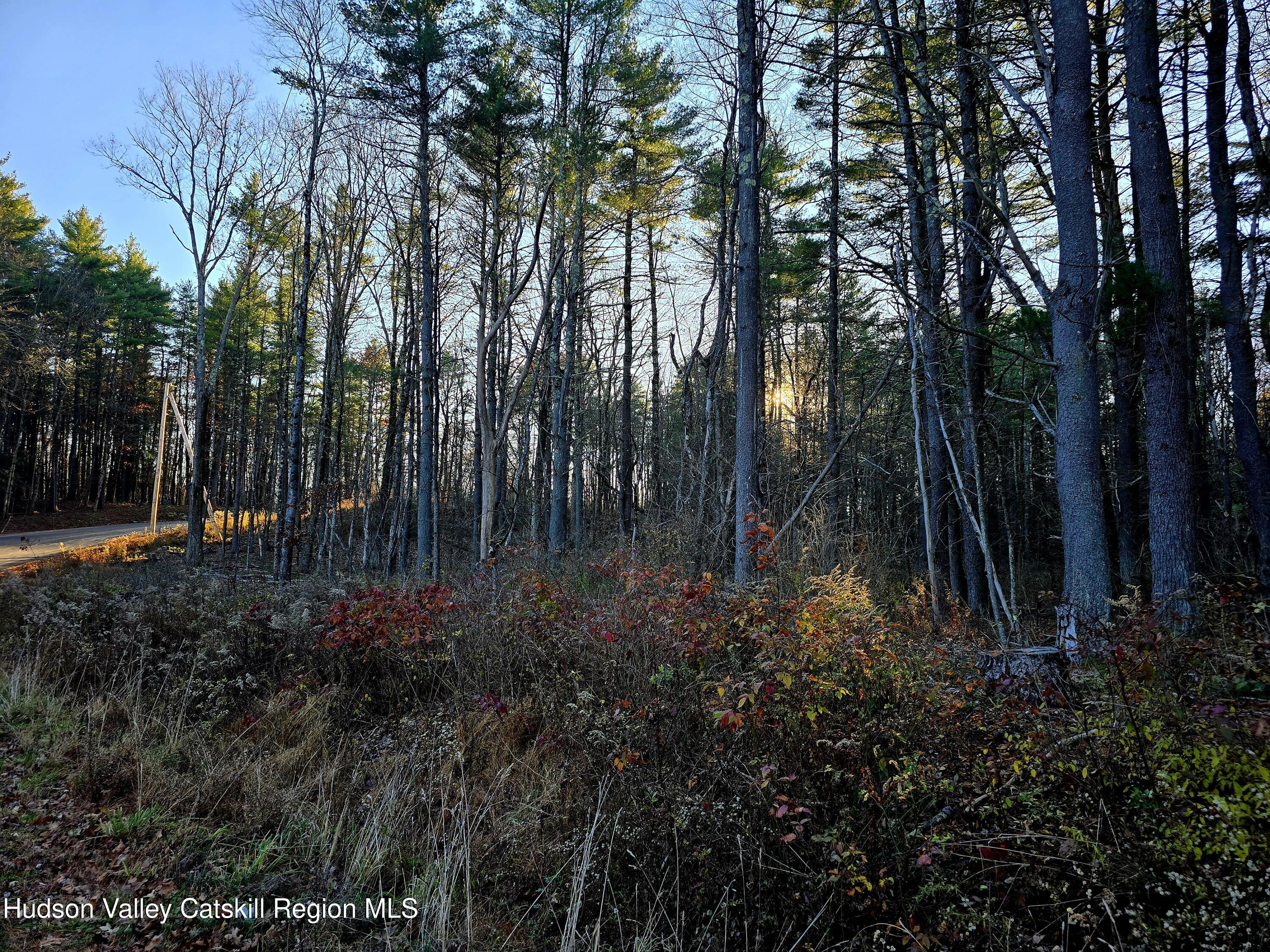 Lot 10 Co Road Hannacroix, NY 12087 - Photo 4 of 7 a view of backyard with tree