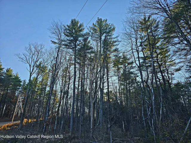 a view of outdoor space with lots of trees