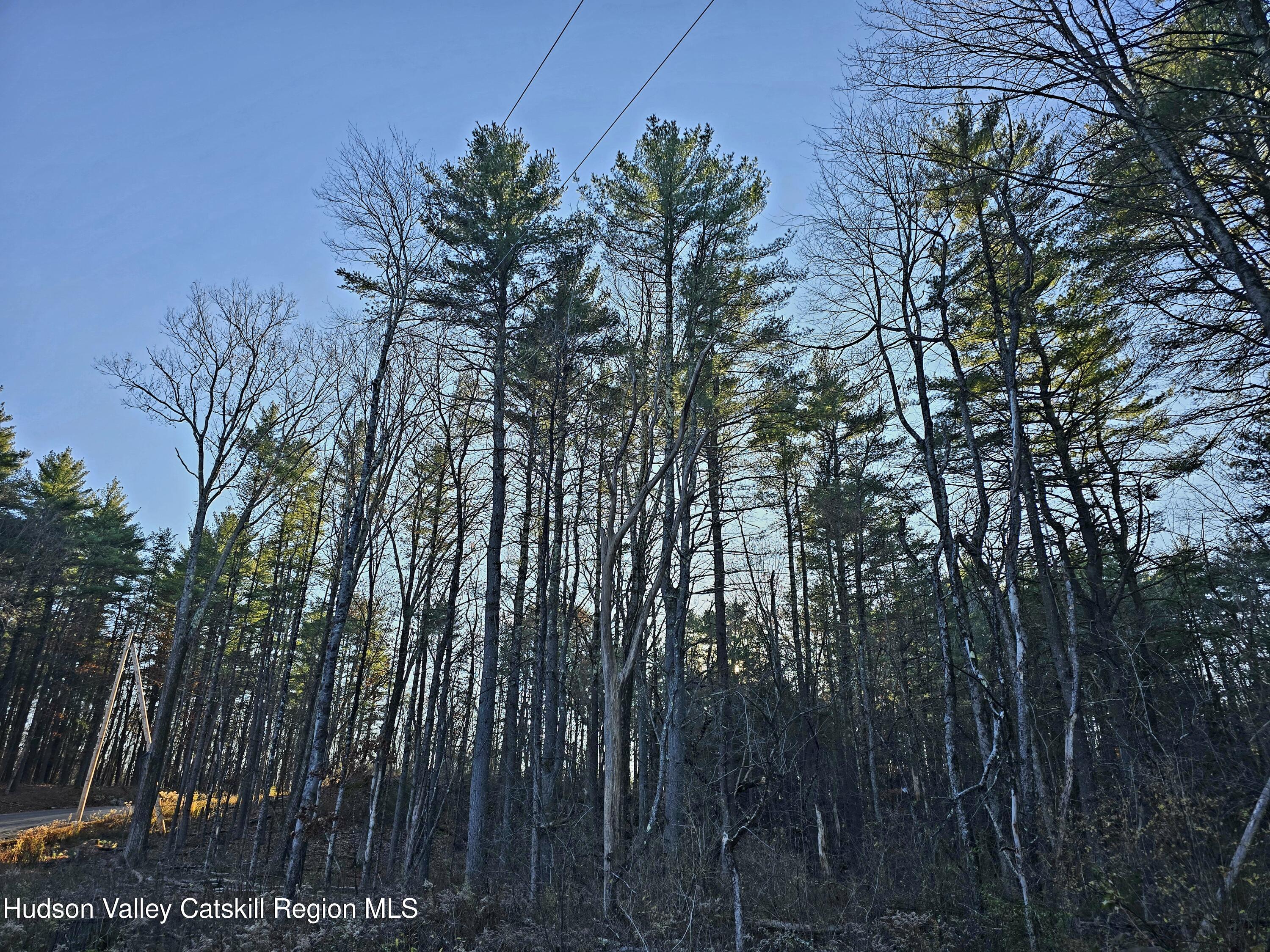 Lot 10 Co Road Hannacroix, NY 12087 - Photo 5 of 7 a view of outdoor space with lots of trees