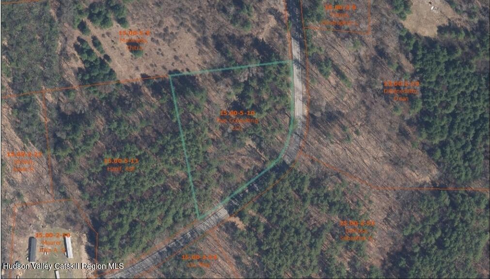 Lot 10 Co Road Hannacroix, NY 12087 - Photo 7 of 7 a view of a houses with a tree