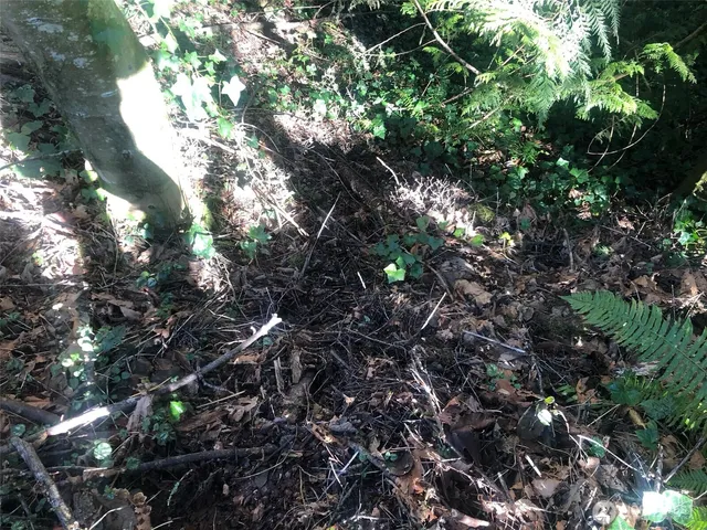 $30,000 | 2800 Westwood Drive Northwest, Olympia, WA 98502