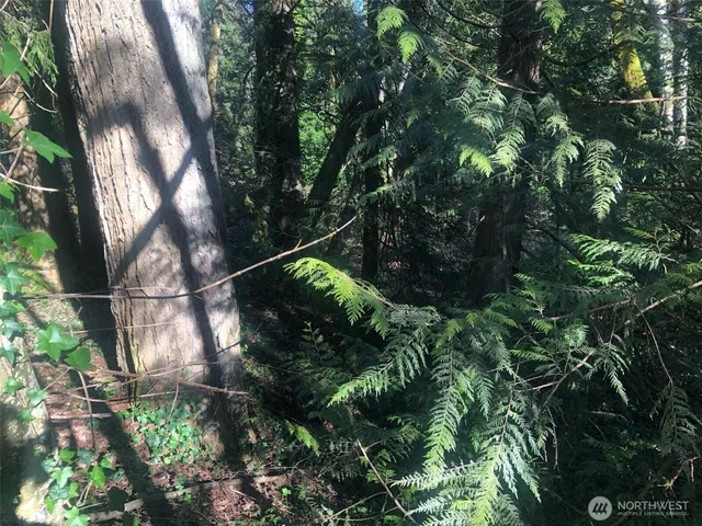 $30,000 | 2800 Westwood Drive Northwest, Olympia, WA 98502