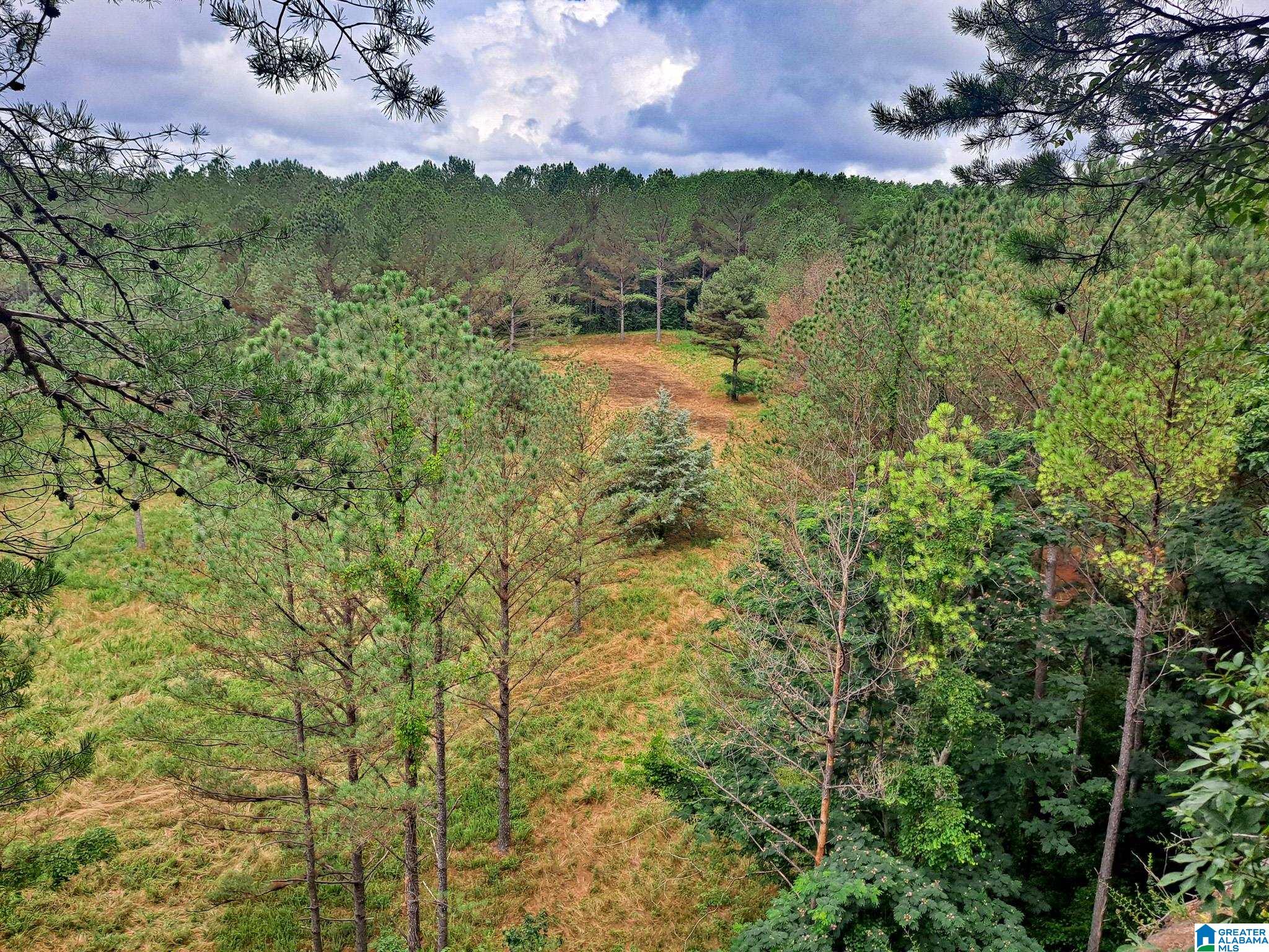 808 Fulton Hill Road, Unit 808 Berry, AL 35546 - Photo 11 of 26