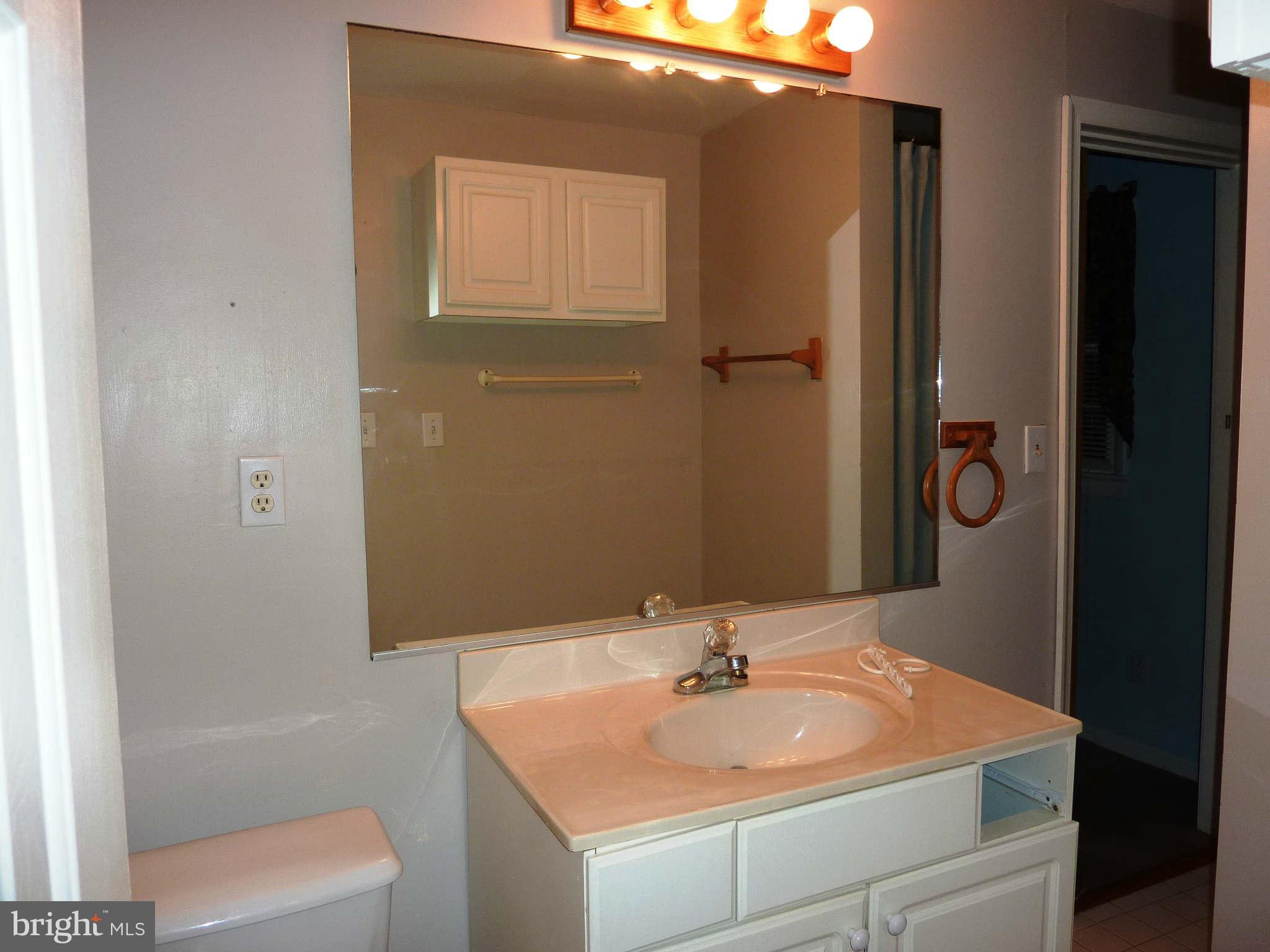 58 Sifer Road Front Royal, VA 22630 - Photo 18 of 30 Bath (Master)