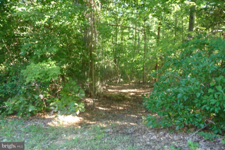 2211 Kings Landing Road Huntingtown, MD 20639 - Photo 10 of 30 Exterior (General)