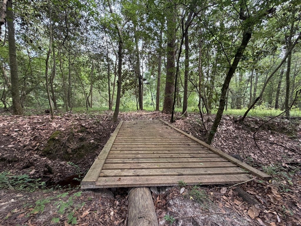 4574 Hadley Ferry Road Cairo, GA 39828 - Photo 14 of 51 The way a trail should be maintained!