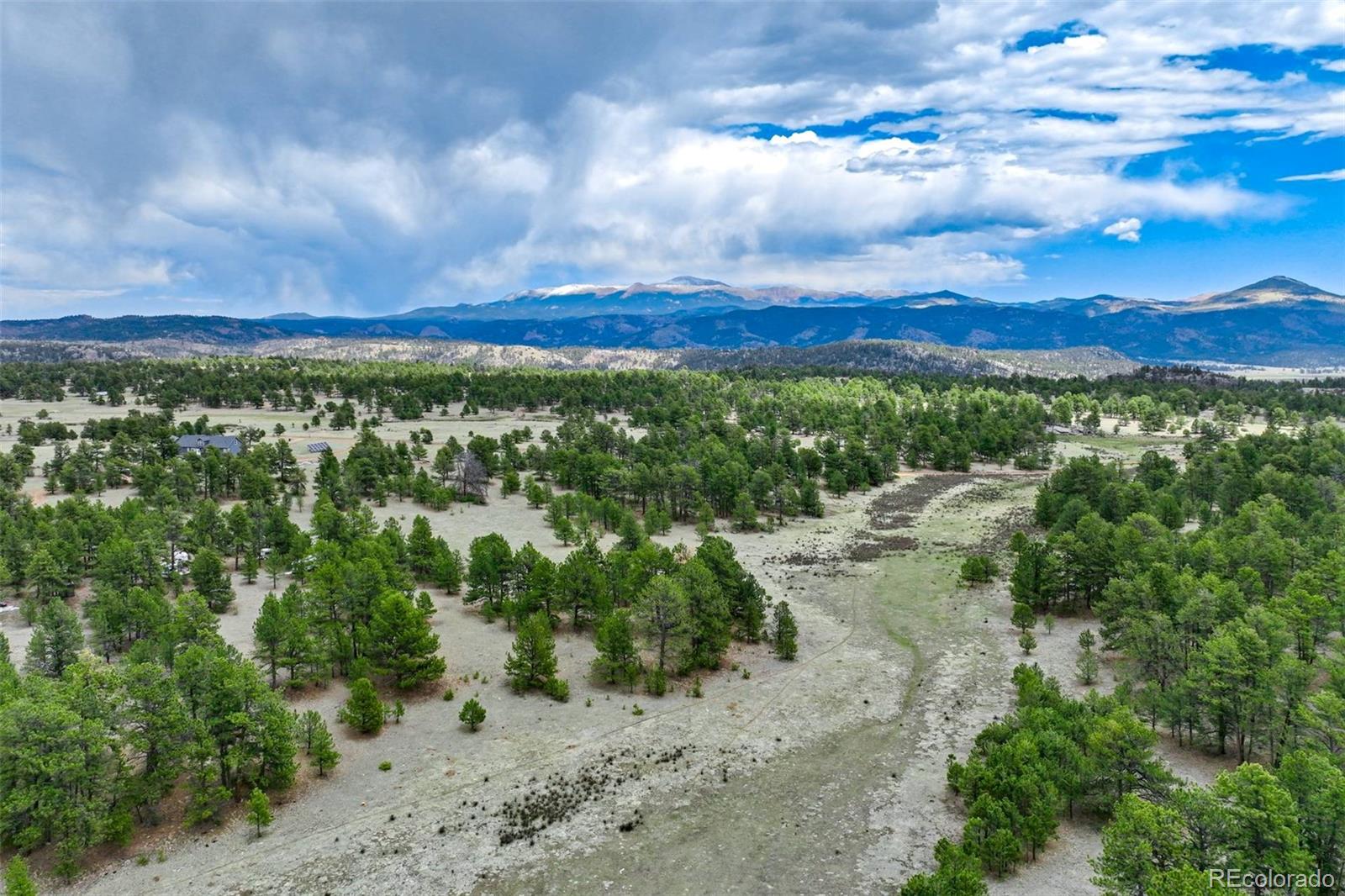 103 Doe Valley Road Guffey, CO 80820 - Photo 17 of 46