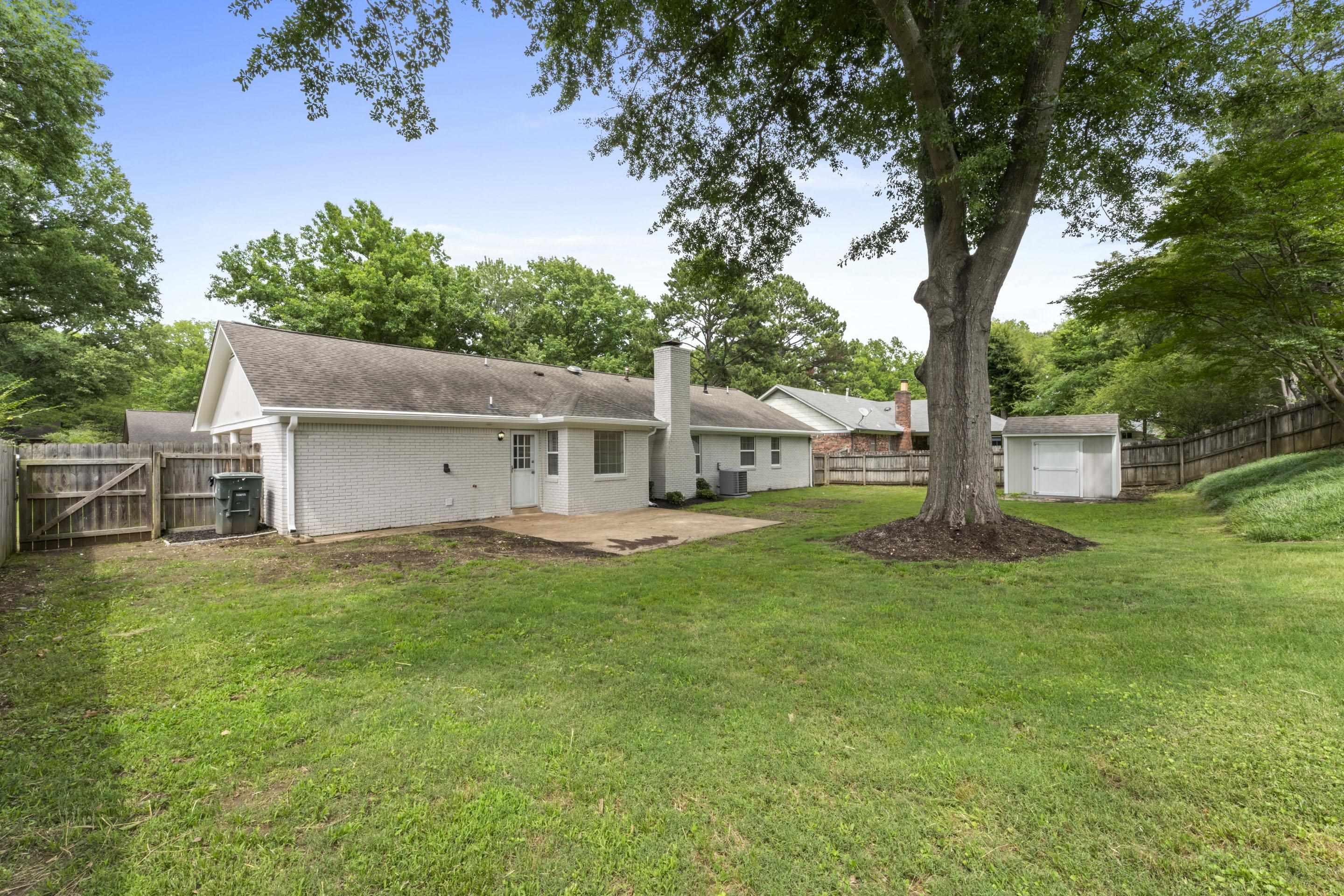 499 Duscoe Street Collierville, TN 38017 - Photo 30 of 38 a view of a house with backyard and a tree