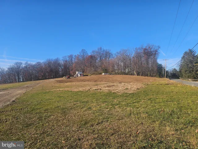 a view of road with large trees