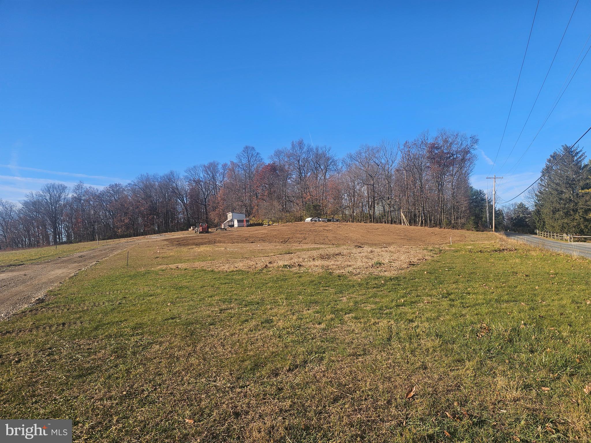 a view of road with large trees