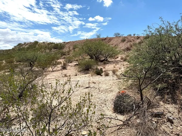 $59,000 | 9.93-ac South Lonesome Road, Benson, AZ 85602