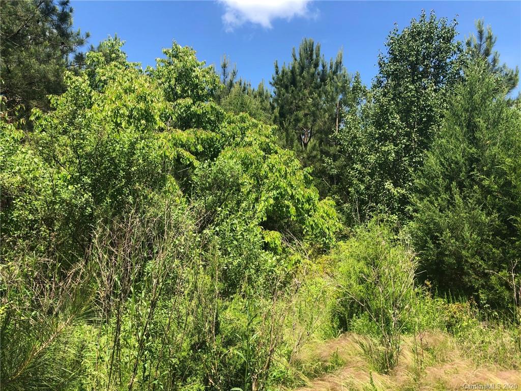 1501 Stinson Road Lancaster, SC 29720 - Photo 10 of 14