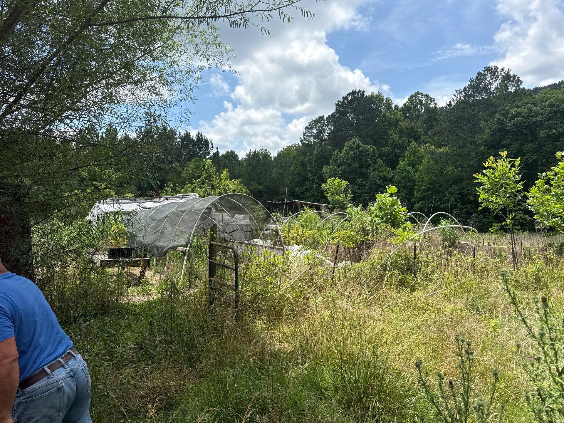 3804 Redman Lane Decatur, TN 37322 - Photo 16 of 33 project_107246054_06092026_1750