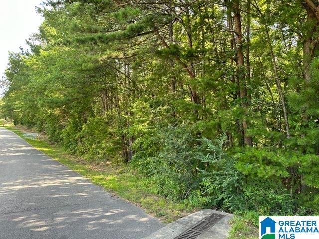 520 18th Street, Unit 71 Calera, AL 35040 - Photo 2 of 6