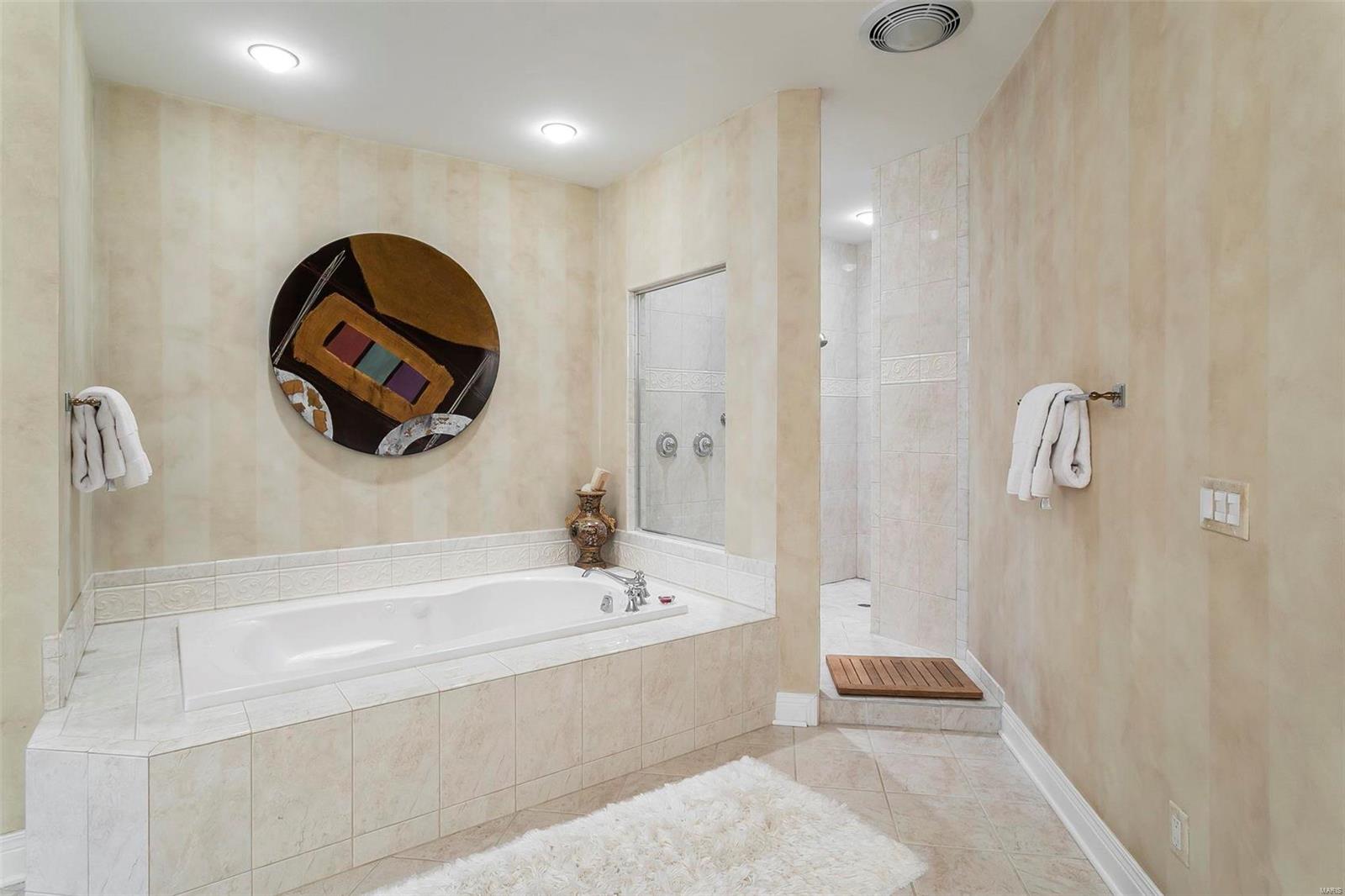 512 Upper Conway Circle Chesterfield, MO 63017 - Photo 33 of 67