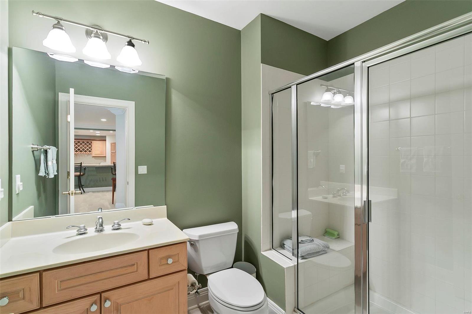 512 Upper Conway Circle Chesterfield, MO 63017 - Photo 58 of 67