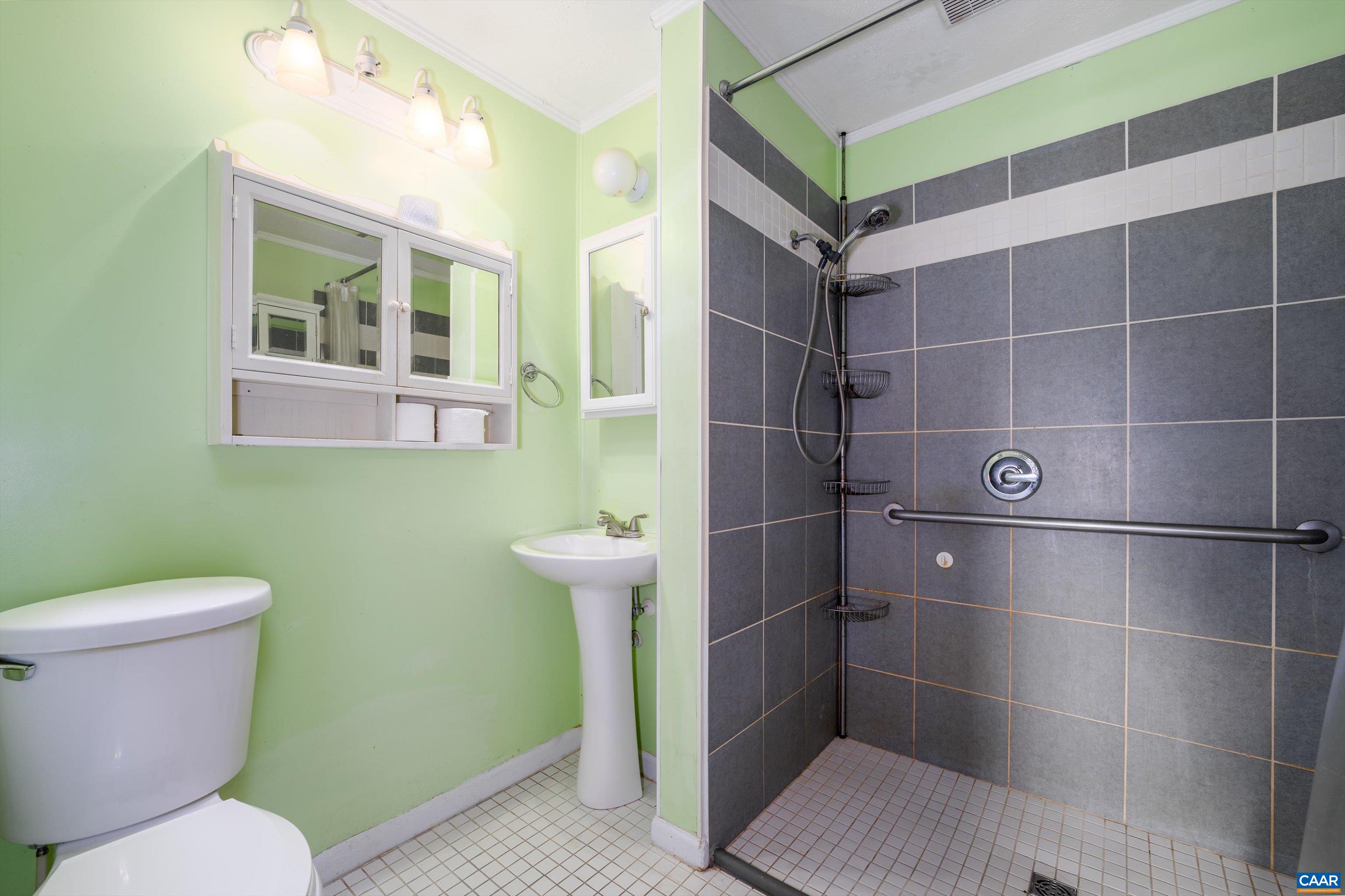 579 Miller Mountain Road Stanardsville, VA 22973 - Photo 14 of 27 a bathroom with a toilet and a shower