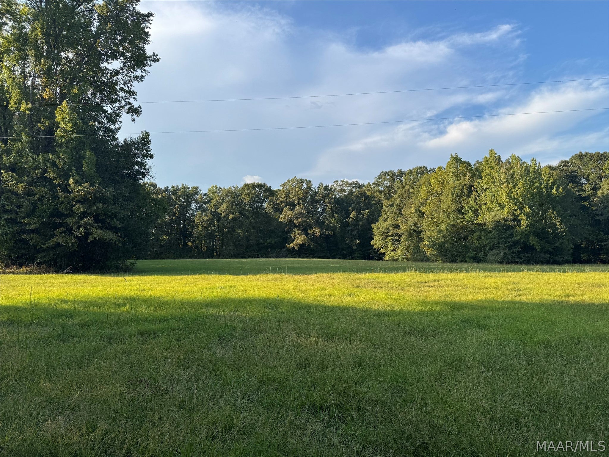331 Old Barnes Road Mathews, AL 36052 - Photo 6 of 11 Gallery Image 6