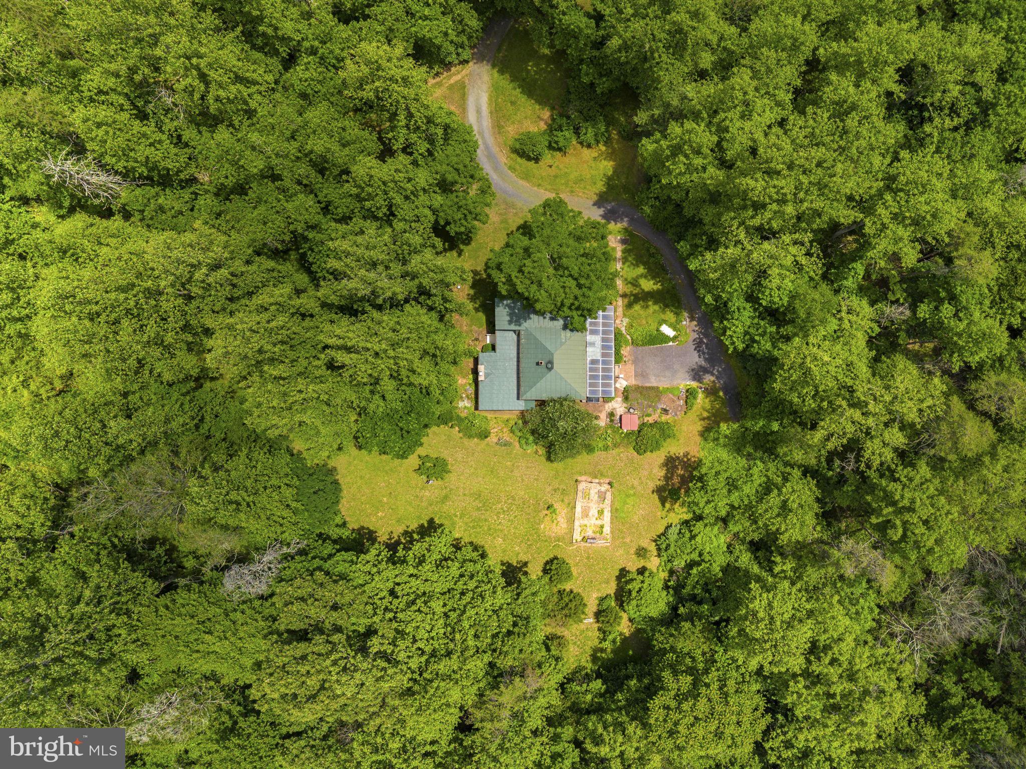 9406 Obannons Mill Road Boston, VA 22713 - Photo 26 of 34 Nestled in the trees with long trails throughout