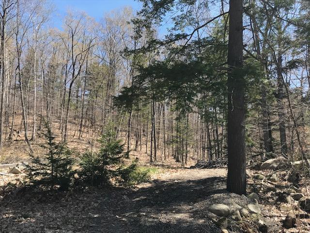 71 Qualey Road Gray, ME 04039 - Photo 9 of 19 Looking up hill