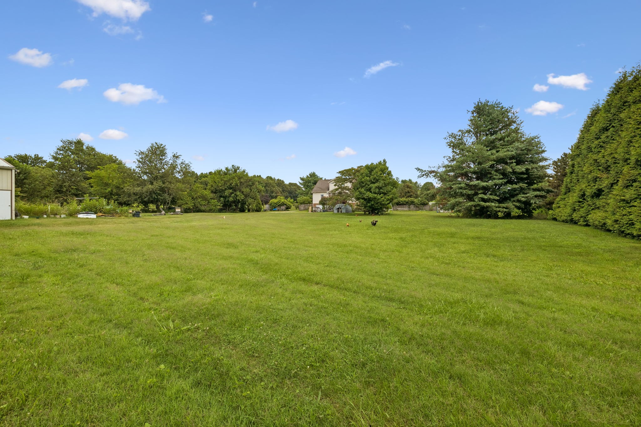 3384 Maxie Jones Road Springfield, TN 37172 - Photo 41 of 66