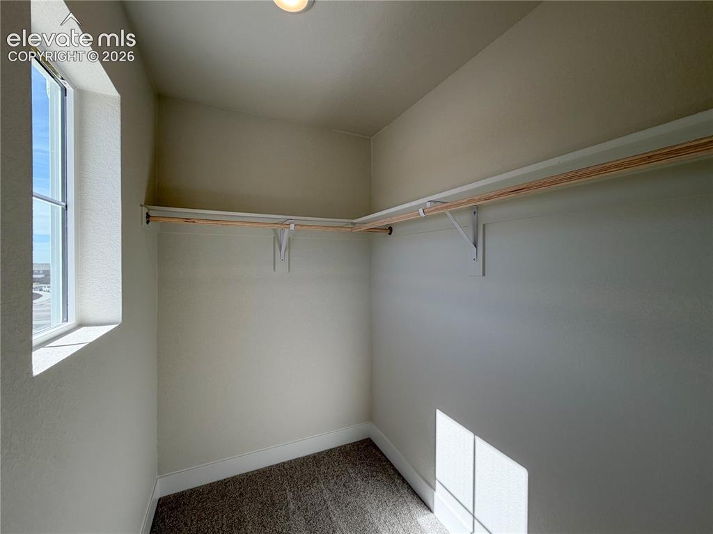 8206 Lemon Grass Road Peyton, CO 80831 - Photo 26 of 33