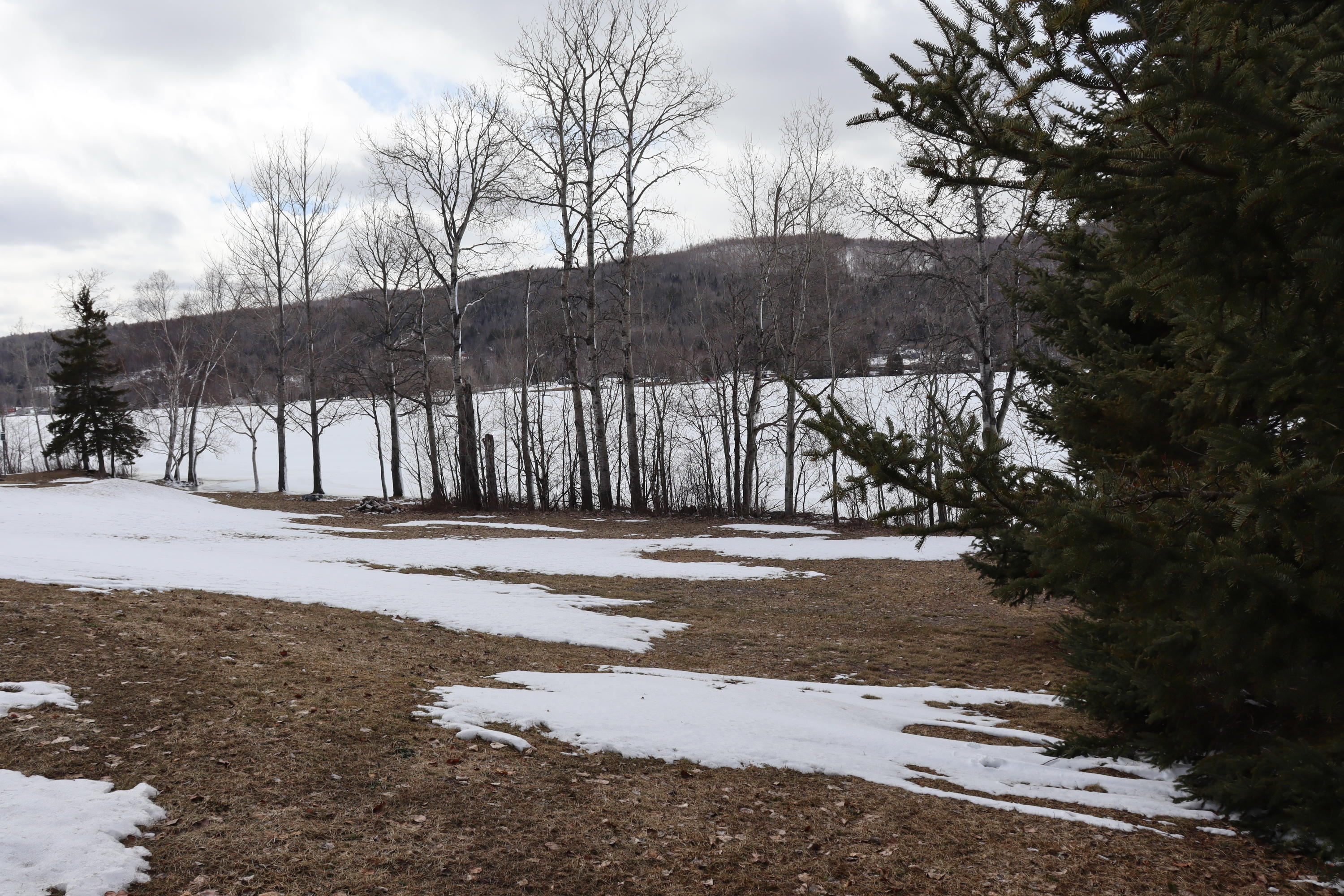 1391 Sly Brook Road Eagle Lake, ME 04739 - Photo 10 of 24 View north to south on front lawn