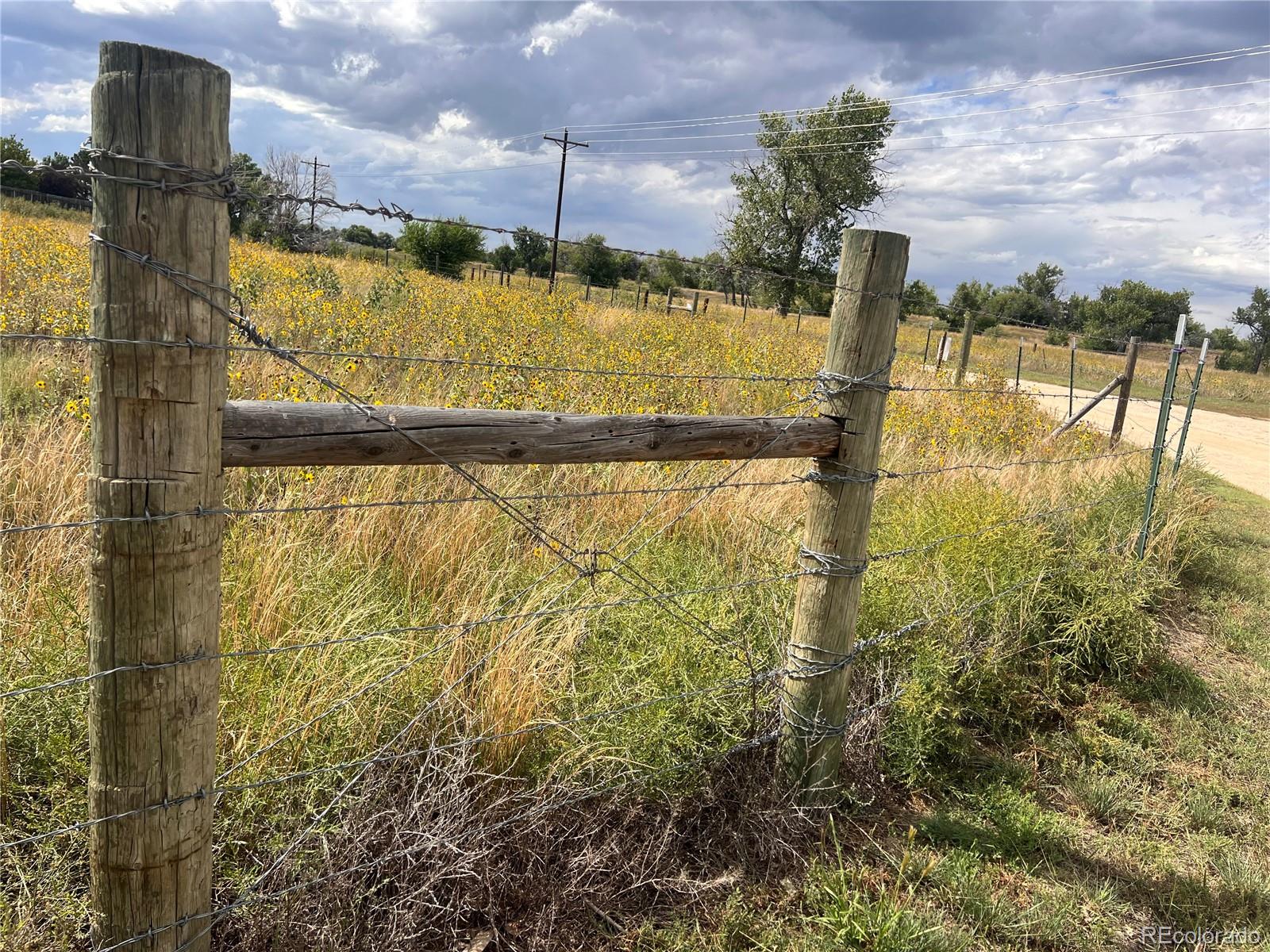1160 Immel Street Limon, CO 80828 - Photo 5 of 15 a view of swimming pool