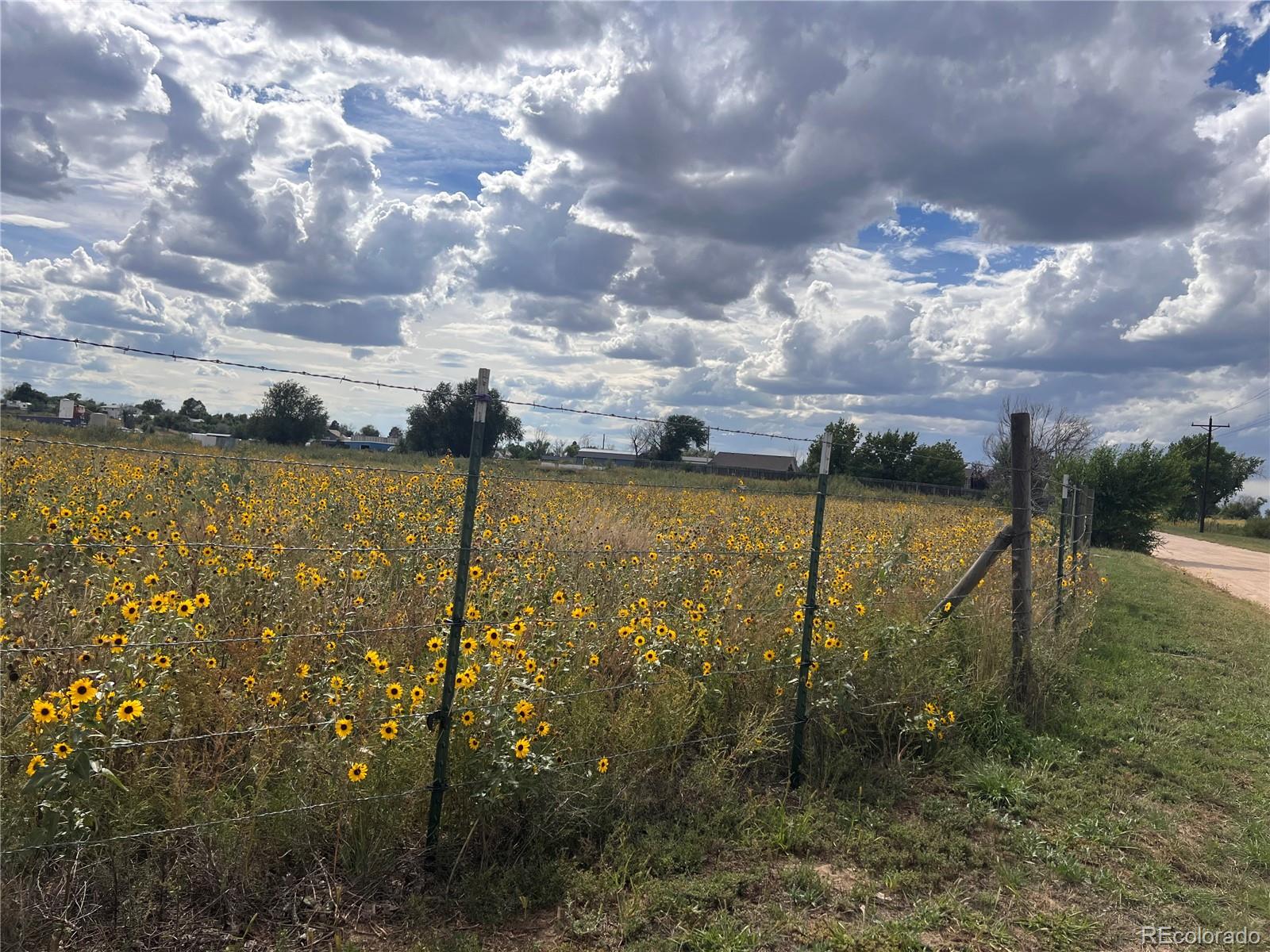 1160 Immel Street Limon, CO 80828 - Photo 6 of 17