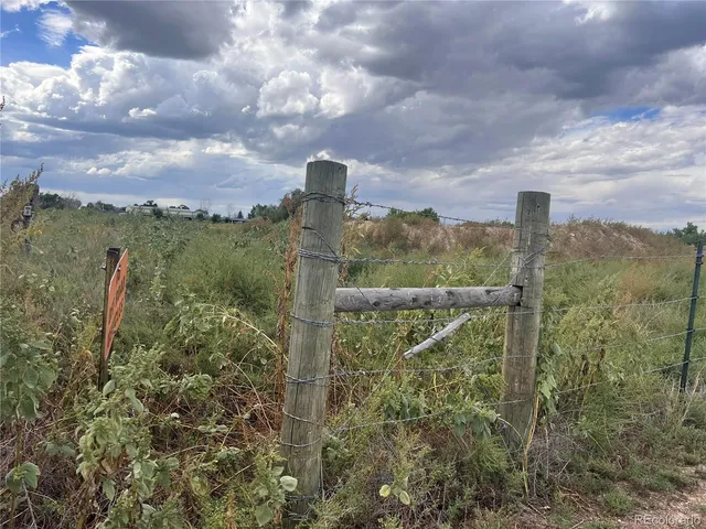 a view of a city from a yard