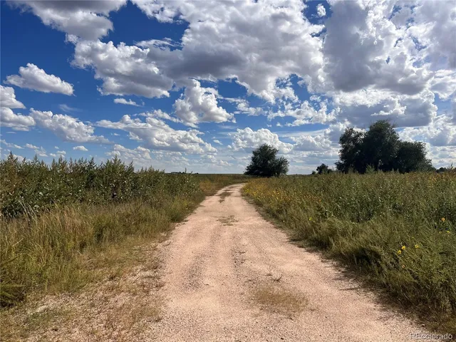 a view of a yard with outside space