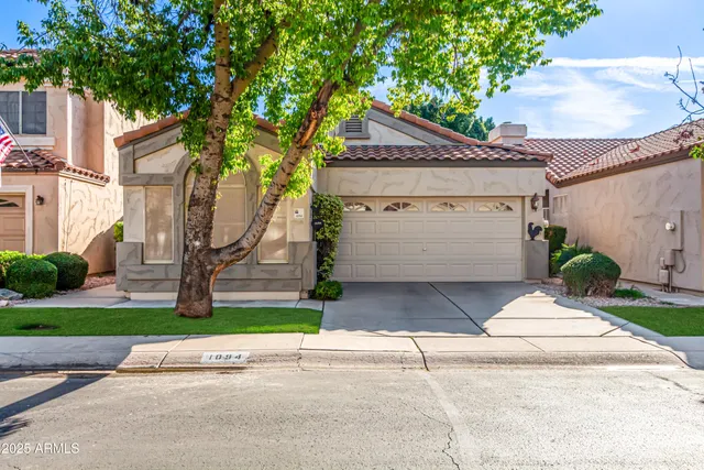 a view of a brick house with a small yard plants and a large tree
