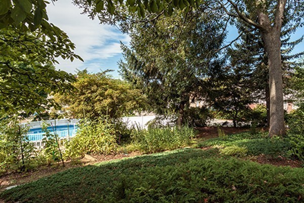 46 Lansdowne Road Arlington, MA 02474 - Photo 25 of 29 a view of a garden