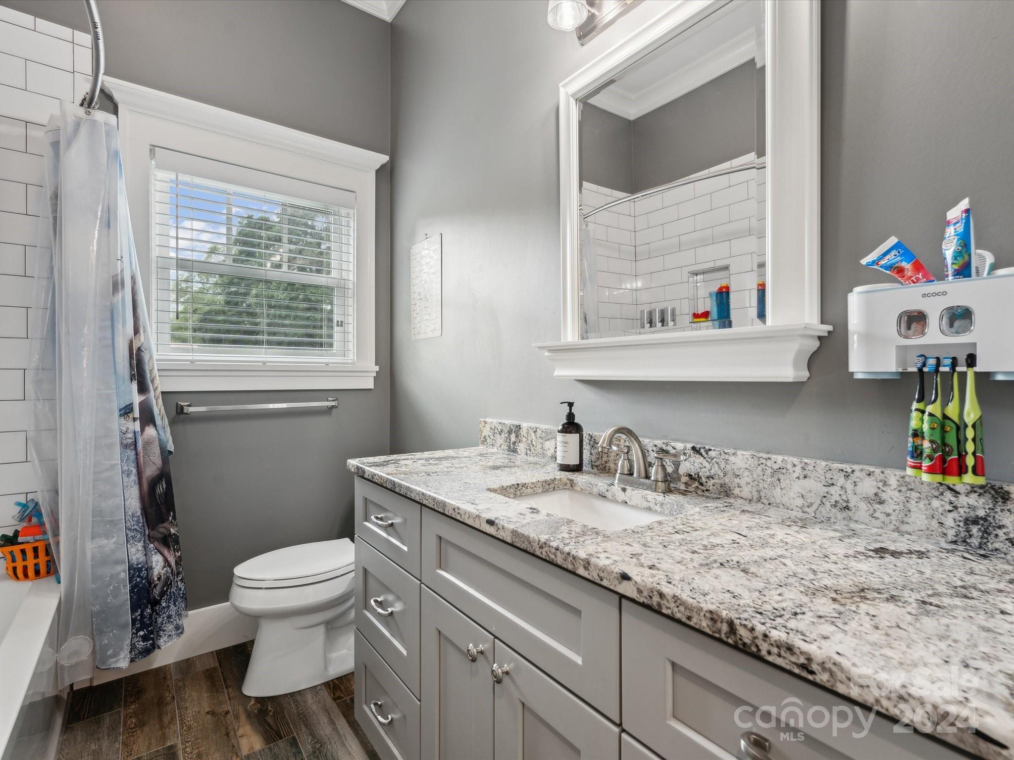 1156 Williams Road Fort Mill, SC 29715 - Photo 10 of 44 a bathroom with a granite countertop sink mirror vanity and toilet