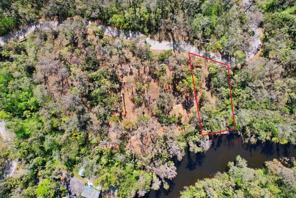 4868 Rambling River Road Brandon, FL 33511 - Photo 37 of 45 a view of a lake with a tree