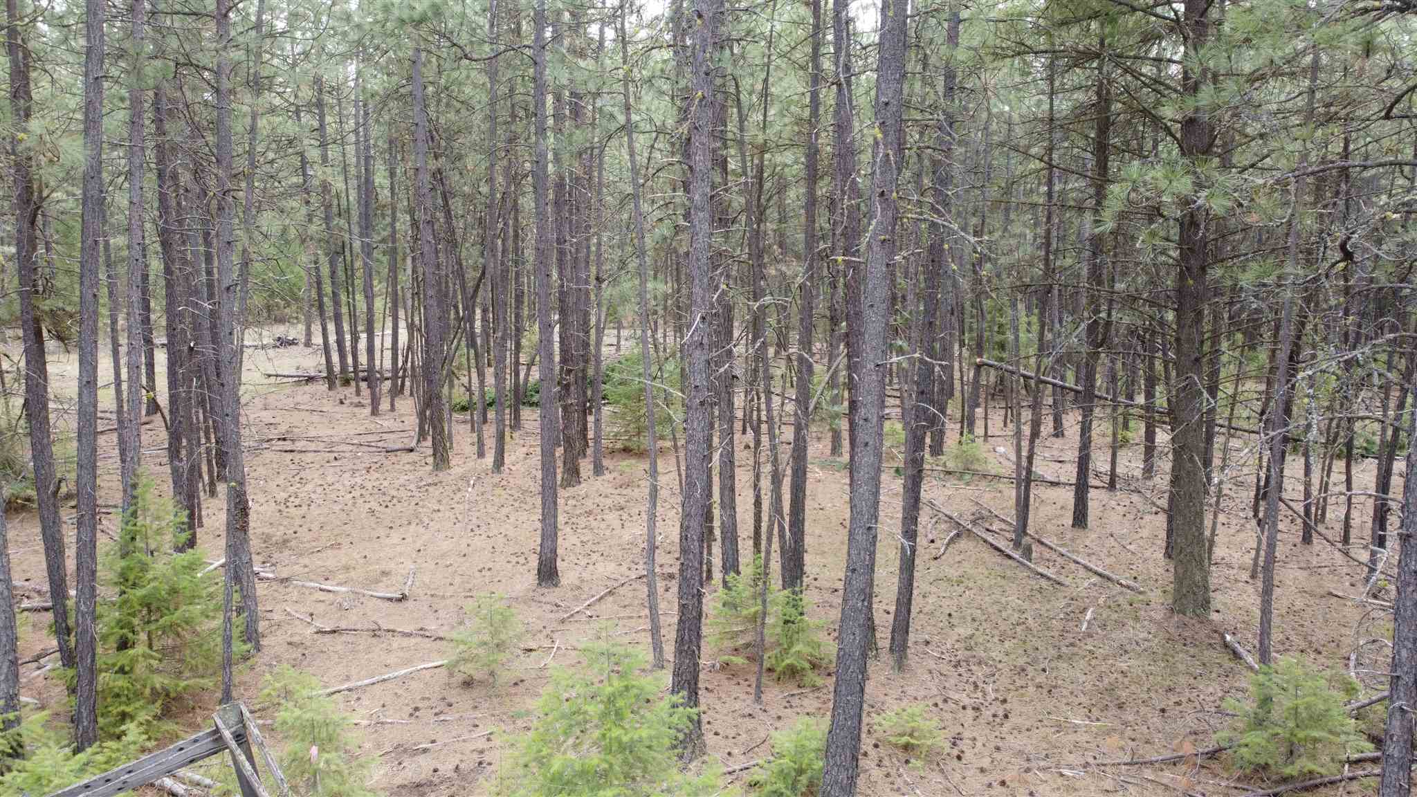 Tbd West Long Lake Road Ford, WA 99013 - Photo 5 of 16