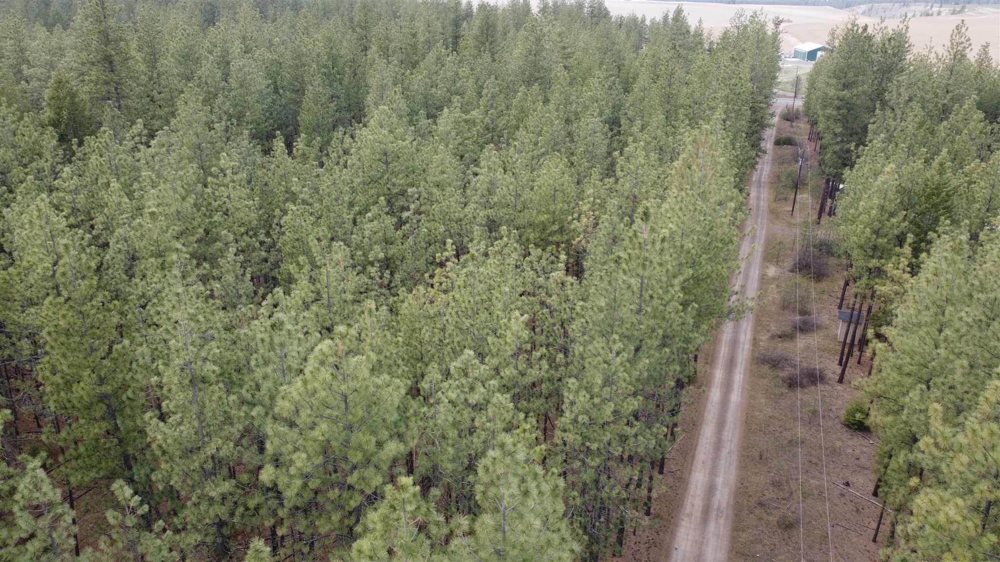 Tbd West Long Lake Road Ford, WA 99013 - Photo 8 of 16