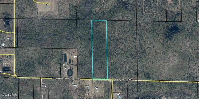 $100,000 | 22563 Lake McKenzie Boulevard, Altha, FL 32421