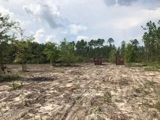 $100,000 | 22563 Lake McKenzie Boulevard, Altha, FL 32421