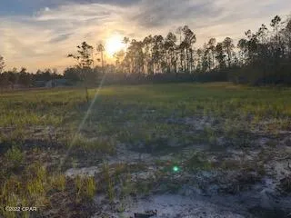 $100,000 | 22563 Lake McKenzie Boulevard, Altha, FL 32421