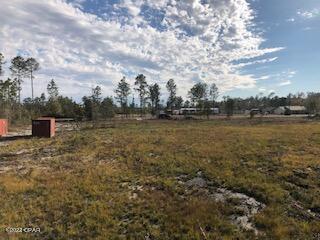 22563 Lake McKenzie Boulevard Altha, FL 32421 - Photo 7 of 8