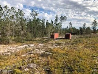 $100,000 | 22563 Lake McKenzie Boulevard, Altha, FL 32421