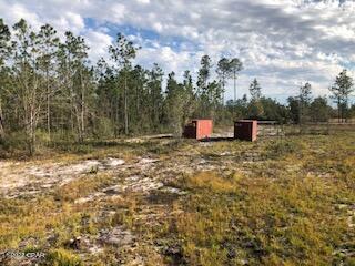 22563 Lake McKenzie Boulevard Altha, FL 32421 - Photo 8 of 8