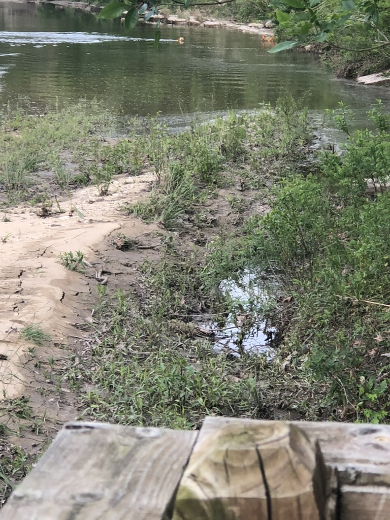 205 River Road Liberty Hill, TX 78642 - Photo 6 of 9 A tranquil water view with lush vegetation alongside a natural bank, perfect for serene outdoor moments.