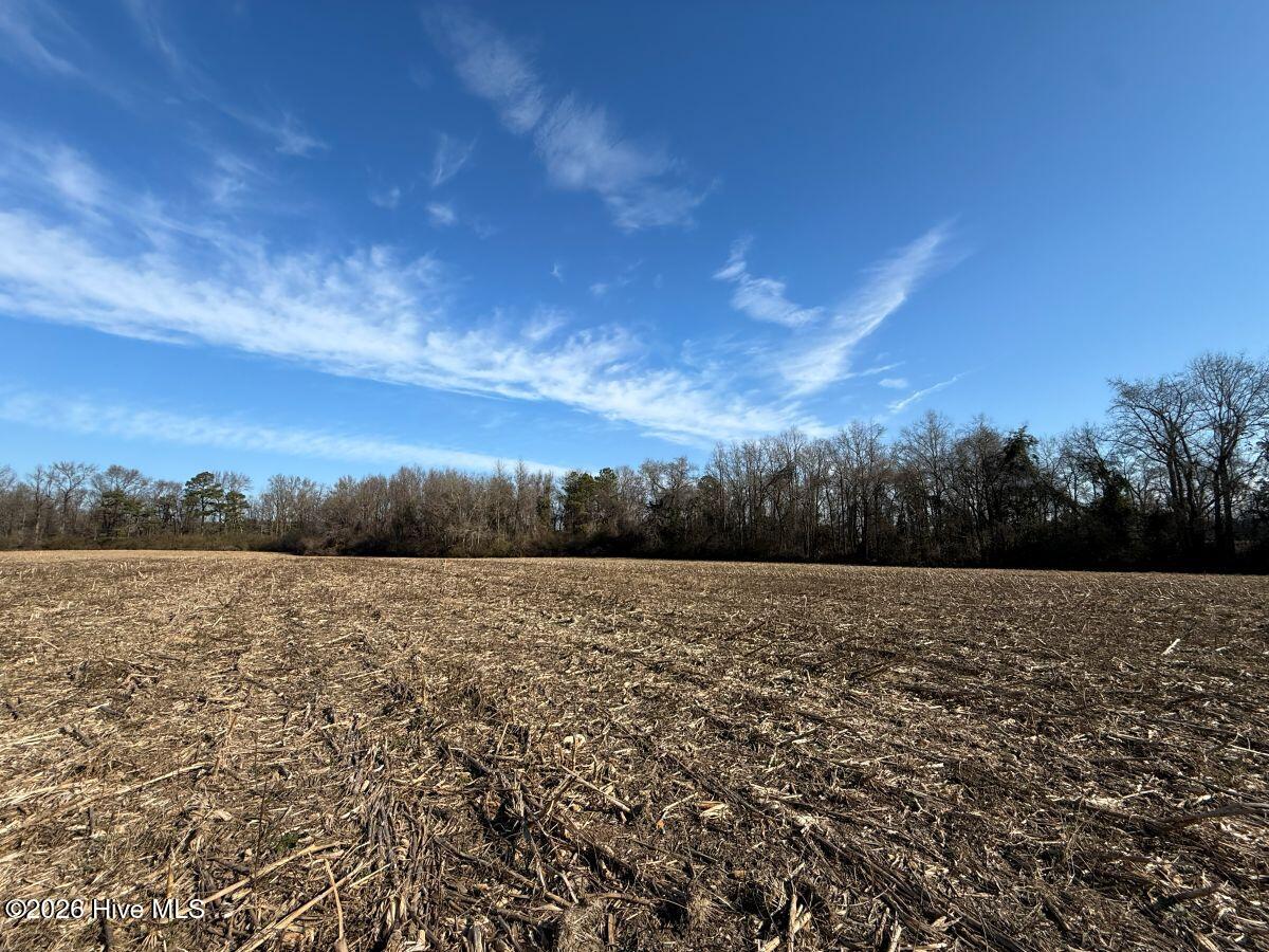 Lot 2 Euray Moore Road Warsaw, NC 28398 - Photo 14 of 50 13