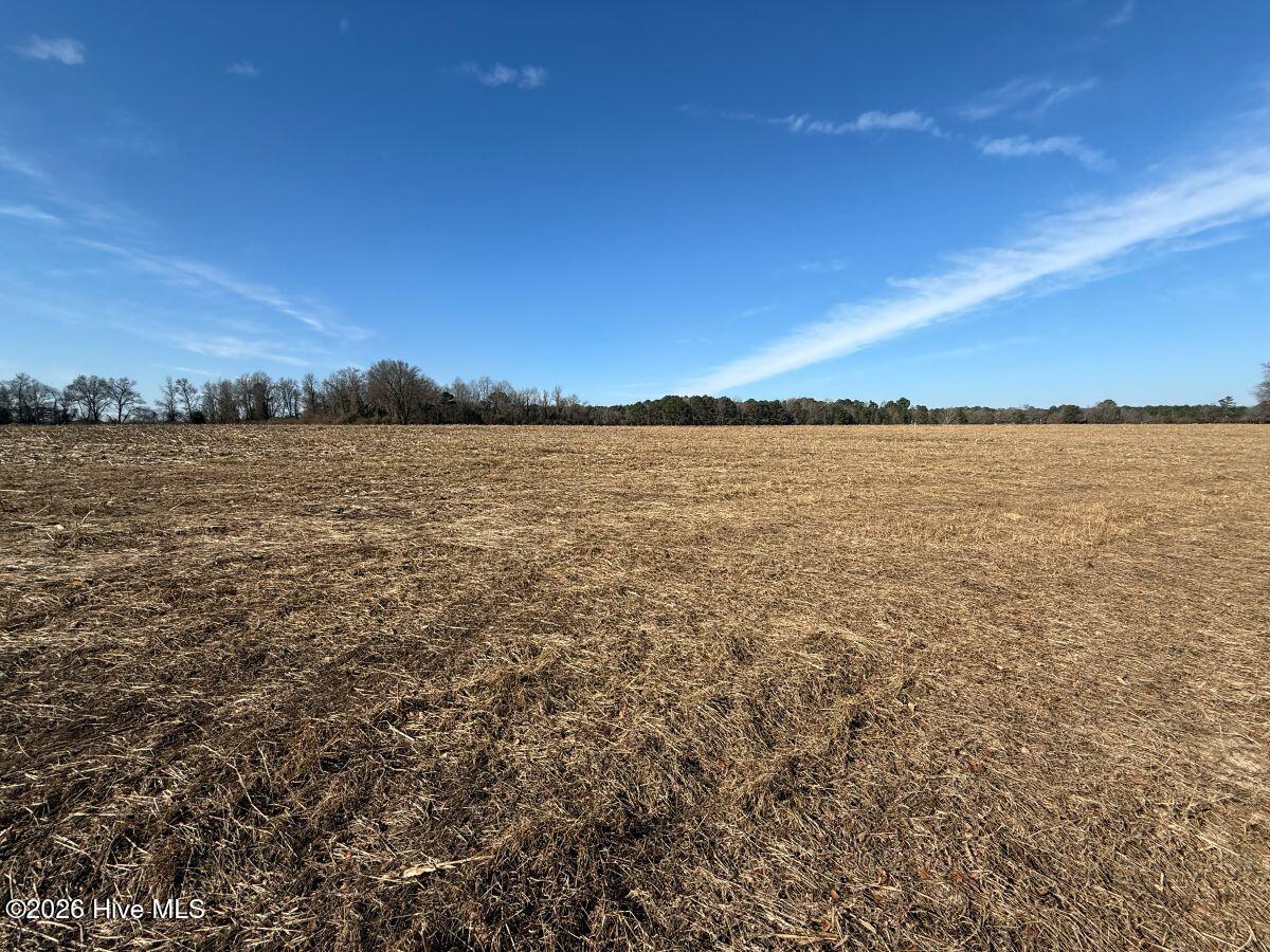 Lot 2 Euray Moore Road Warsaw, NC 28398 - Photo 27 of 50 26