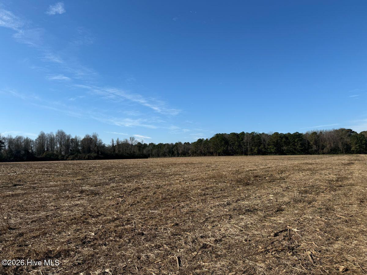 Lot 2 Euray Moore Road Warsaw, NC 28398 - Photo 28 of 50 27